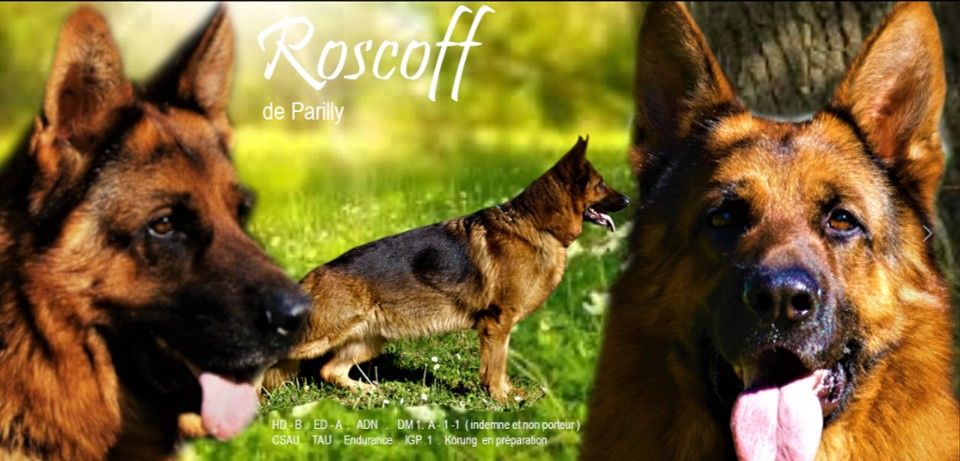 Roscoff De parilly