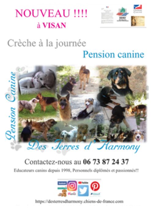 Des Terres D'Harmony - Pension Canine
