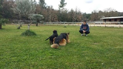 Des Terres D'Harmony - IENA enfin arrivée dans le var!!