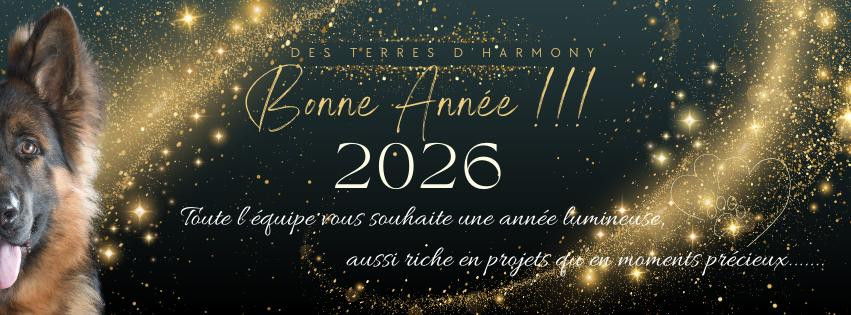 Bonne Année à tous !!!