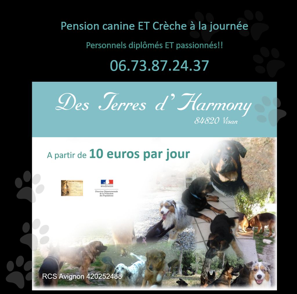 Des Terres D'Harmony - Pension Canine